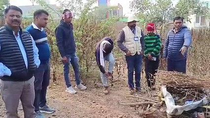 टाइगर और पैंथर में वर्चस्व की लड़ाई, पैंथर की हुई मौत, जंगल से बरामद हुई लाश, वन विभाग ने पोस्टमार्टम कर किया अंतिम संस्कार
