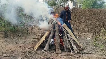 टाइगर और पैंथर में वर्चस्व की लड़ाई, पैंथर की हुई मौत, जंगल से बरामद हुई लाश, वन विभाग ने पोस्टमार्टम कर किया अंतिम संस्कार