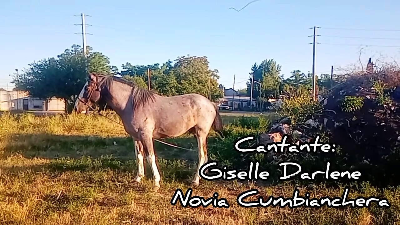 Novia Cumbianchera Gris melancolía canta Giselle Romina Castillo Vargas