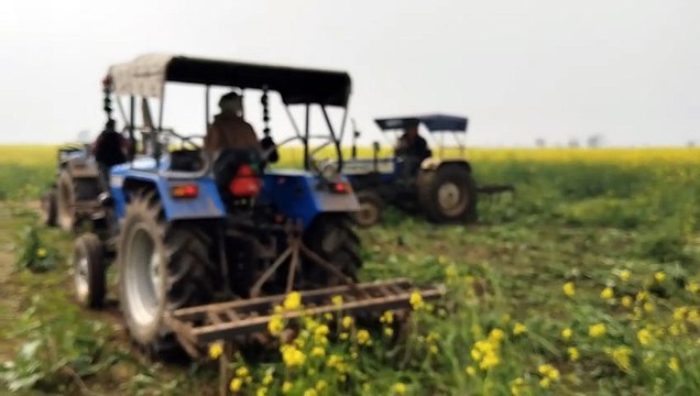 चारागाह भूमि पर प्रशासन का चला पीला पंजा, 72 बीघा जमीन पर भूमाफिया कर रहे थे खेती, सरकारी जमीन को अतिक्रमण से कराया मुक्त