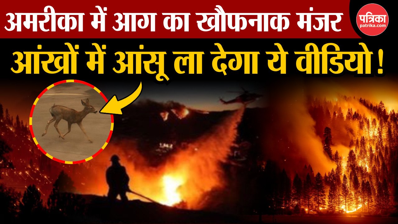 आग का खौफनाक मंज़र, लॉस एंजेलिस में लगी विनाशकारी आग