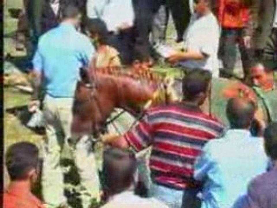 Varto/Gimgim (1.Bölüm) “Varto mala xwadêye...“