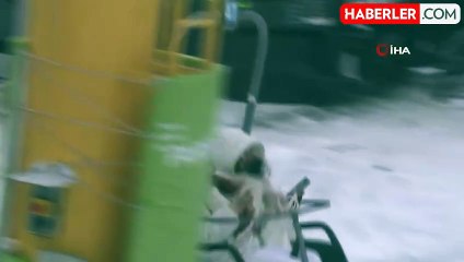 Uludağ'da Yoğun Kar ve Günübirlikçi Akını