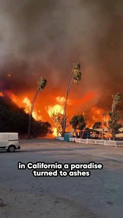 California Wildfire | Fire Breaks Out In Hollywood Hills | Los Angeles Fire | US News #california