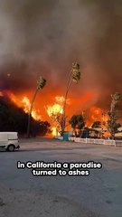 California Wildfire | Fire Breaks Out In Hollywood Hills | Los Angeles Fire | US News #california