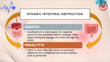 What forms of dynamic intestinal obstruction are there?