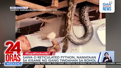 Sawa o reticulated python, namataan sa kisame ng isang tindahan sa Bohol | 24 Oras Weekend