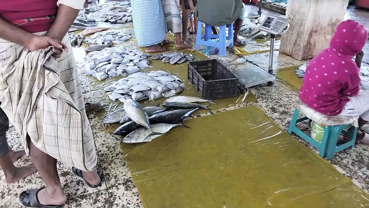 A Vibrant Journey Through a South Asian Sea Fish Market 🐟🌊