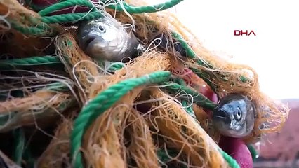 Türkiye'nin ''balıksız gölü'' 40 yıllık çalışma sonrasında balıkçıların geçim kaynağı oldu