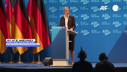 Weidel bei AfD-Parteitag: "Werden alle Windräder niederreißen"