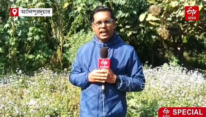 মোবাইল ভিউ পয়েন্ট! বক্সার 16 গ্রামে কেন গাছে ফোন ঝোলানো থাকে জানেন?