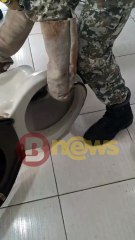 Jiboia é encontrada em vaso sanitário de barbearia em cidade na Bahia