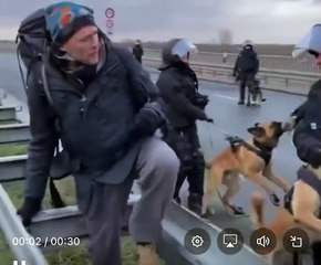 Berlin'de Polis Şiddeti: Göstericilere Köpek Gibi Saldırdı 🐕