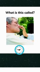 Hand Actions in English Vocabulary