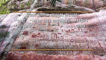 Ice Age Rock Art Discovered Hidden In Amazon Rainforest