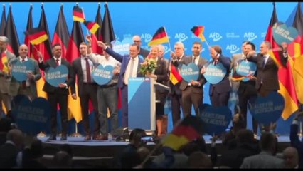 Germania, Alice Weidel eletta candidata cancelliera per l'AfD