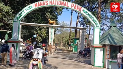 মানাহ ৰাষ্ট্ৰীয় উদ্যানত শিহৰণকাৰী ঘটনা পৰ্যটকৰ বাহনলৈ প্ৰচণ্ড চোঁচা এটা প্ৰকাণ্ড গঁড়ৰ