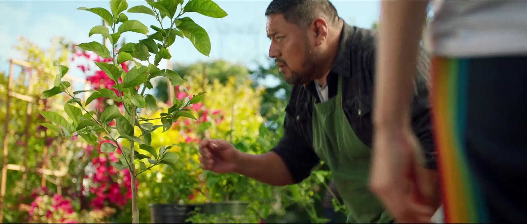 Die Sex-Verschwörung