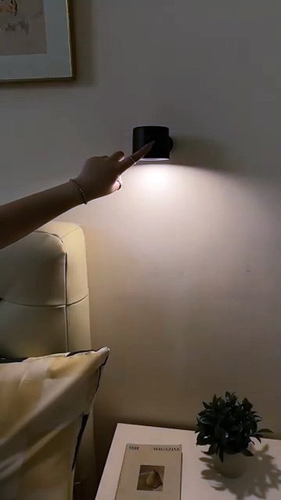 Room light
