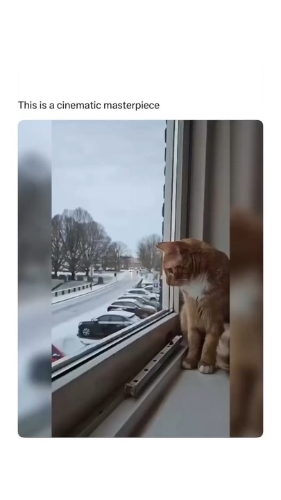 The odds of them falling in order is carzy.