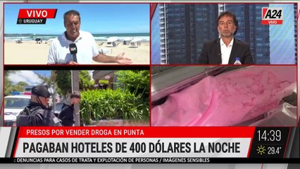 🔴 LA BANDA DE LOS CHICOS MILLONARIOS