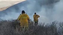 Incendio forestal en Punta Banda, Ensenada