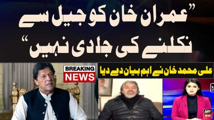 "Imran Khan Ko Jail Say Nikalnay Ki Jaldi Nahi...", Ali Muhamamd Khan