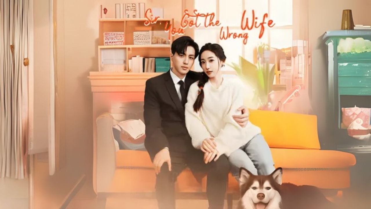 Sir, You Got the Wrong Wife (Chinese Drama English Subtitles ) Snackshort