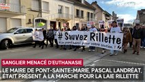 Rassemblement pour Rillette : le maire de Pont-Sainte-Marie Pascal Landréat présent dans le cortège