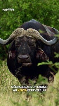 Kenya : un anneau en métal de 500 kg s’écrase dans un champ #actualités #espace #insolite #science