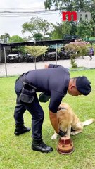 A look at the Malaysian K9 team