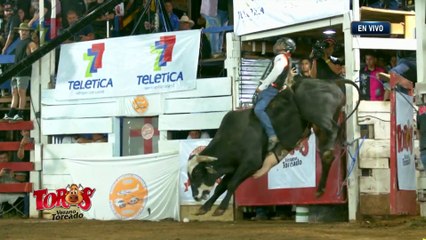 Monta El Mata Gigantes - Sábado 11 Enero 2025