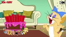 Tom and Jerry: Pre-Birthday Prep | Cartoon Network India