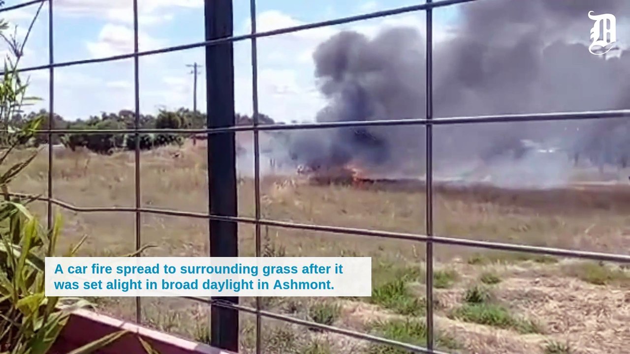 Car fire spreads to grassy paddock in Ashmont