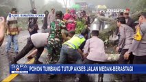 Pohon Tumbang Tutup Akses Jalan Medan-Berastagi, Warga Dihimbau Waspada