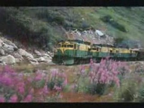 (Cruise to Cassh) unlimited travel vouchers