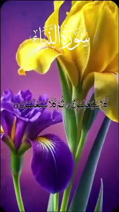 Surah naba Tilawat Revealing the Hidden story of day of resurrection