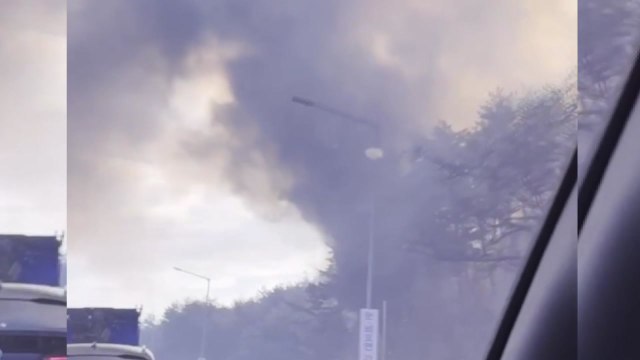 양양 동해고속도로 인근 야산서 산불...1시간여 만에 꺼져 / YTN