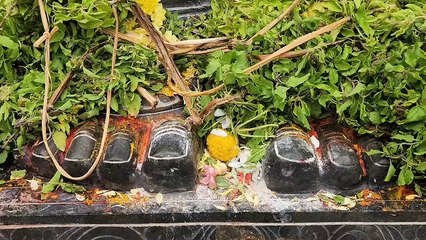 சோளிங்கர் யோக நரசிம்மர் கோவிலில் திடீரென பக்தர்கள் சீனிவாச பெருமாள் சிலையை நிறுவியதால் அதனை அகற்ற வேண்டுமென இந்து சமய அறநிலையத்துறை அதிகாரிகள் கூறியதால் பரபரப்பு மக்கள் எதிர்ப்பு