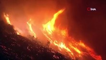 Los Angeles yangınları rüzgarla şiddetlendi