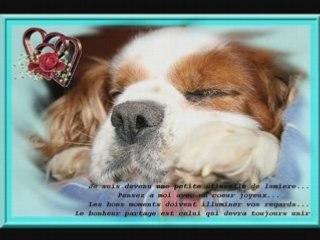 Oscar, une étoile dans le ciel...