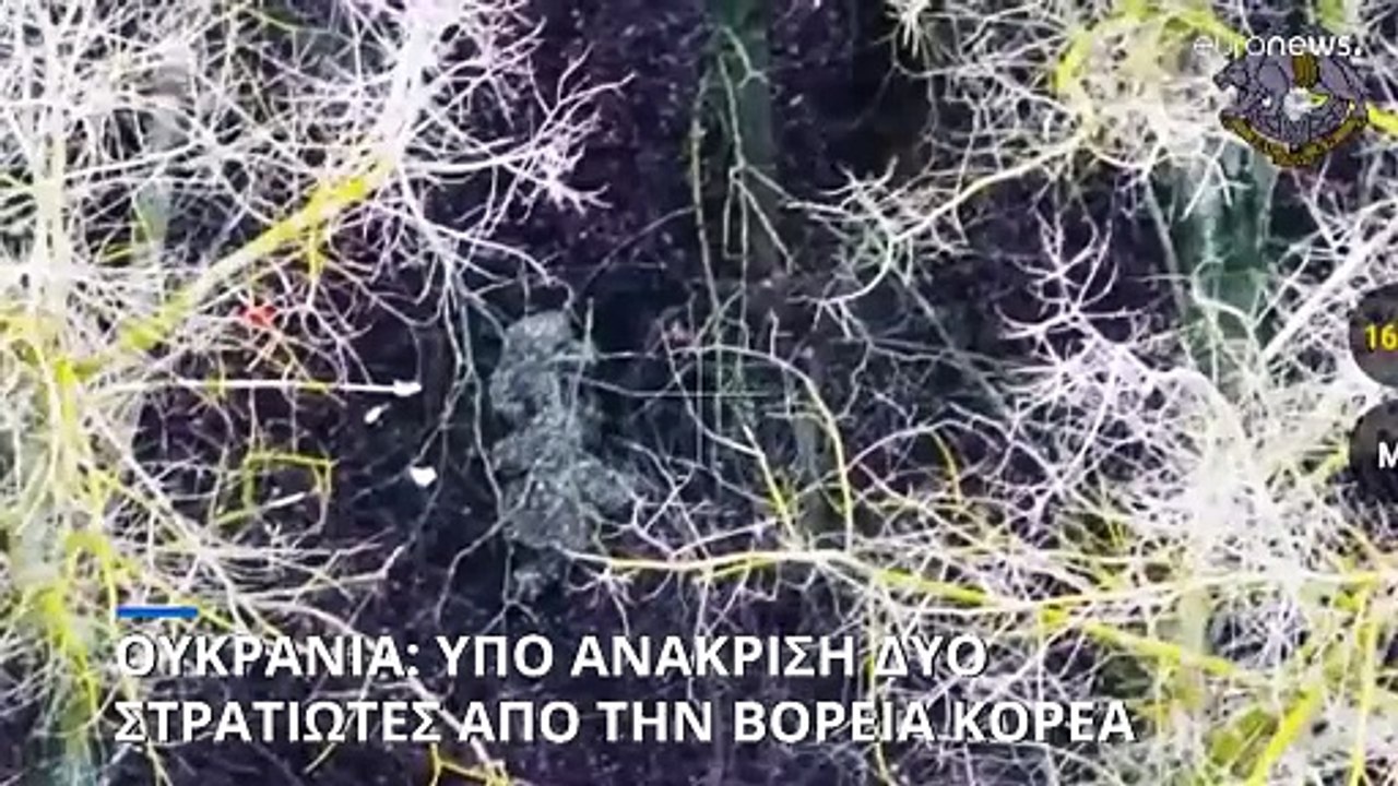 Ουκρανία: Υπό ανάκριση δύο στρατιώτες από την Βόρεια Κορέα που πολεμούσαν στο Κουρσκ
