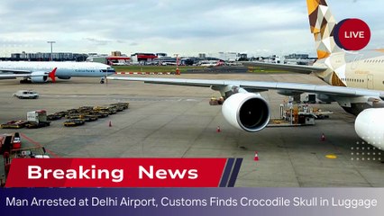 Canadian Man Arrested at Delhi Airport After Customs Finds Crocodile Skull in Luggage