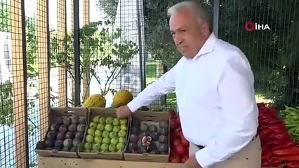 Bursa'da belediye başkanı duyurdu! Sayıları artacak
