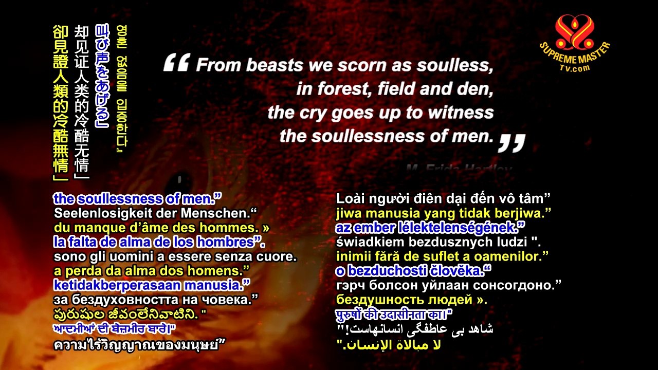 Documentary Trailer: Dominion