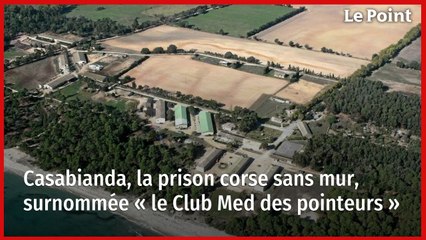 Casabianda, la prison corse sans mur, surnommée « le Club Med des pointeurs »