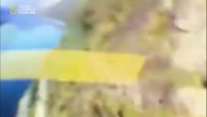 do or die hindi mountain jump