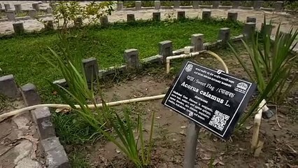 কিউআর কোড জানিয়ে দেবে গাছের তথ্য! অভিনব ব্যবস্থা হাওড়ার বি-গার্ডেনে।