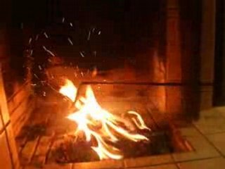 Croke et Widy... En total admiration devant... LE FEU ! xD