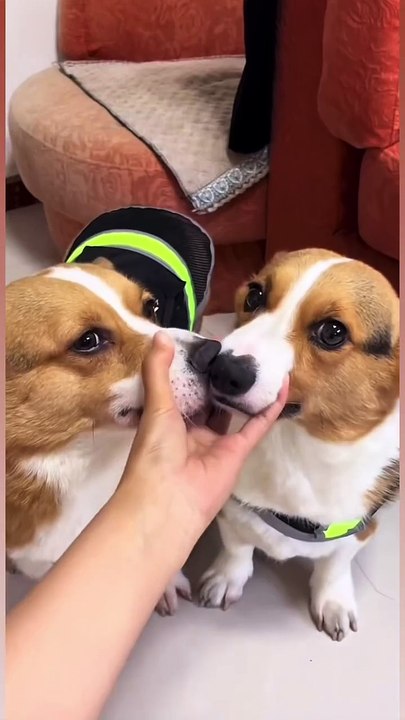 The bond between brothers and sisters but the ending is so exciting 🤦